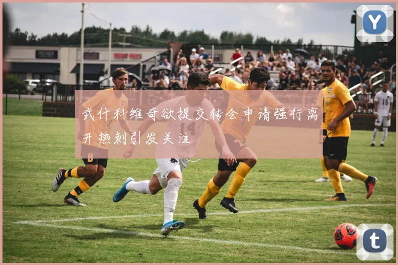 武什科维奇欲提交转会申请强行离开热刺引发关注